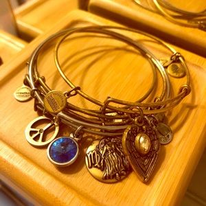 Alex and Ani Set of 4 Bangle Bracelets